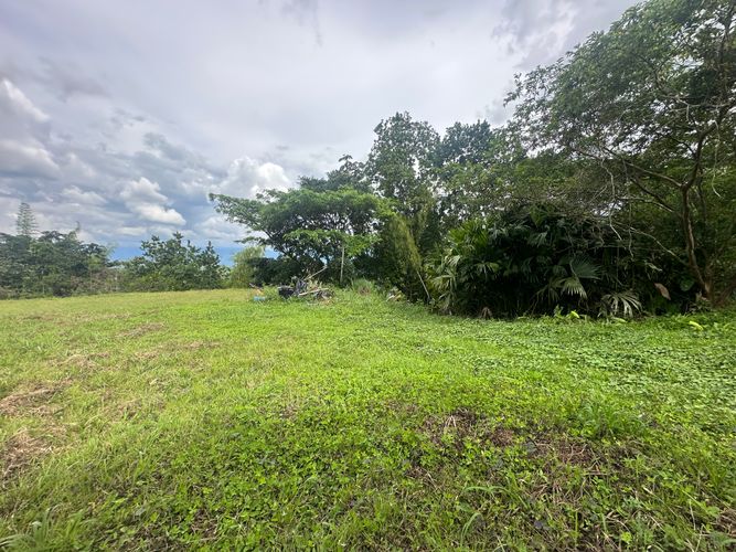 Lote en venta en Vereda Alambrado, Armenia · foto 5 de 24