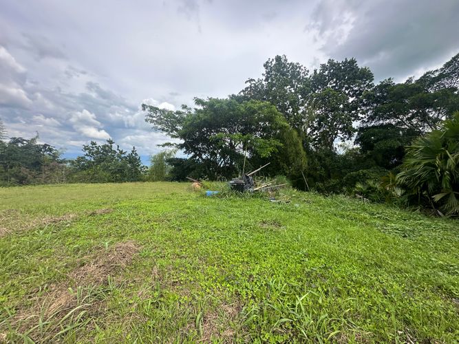 Lote en venta en Vereda Alambrado, Armenia · foto 7 de 24