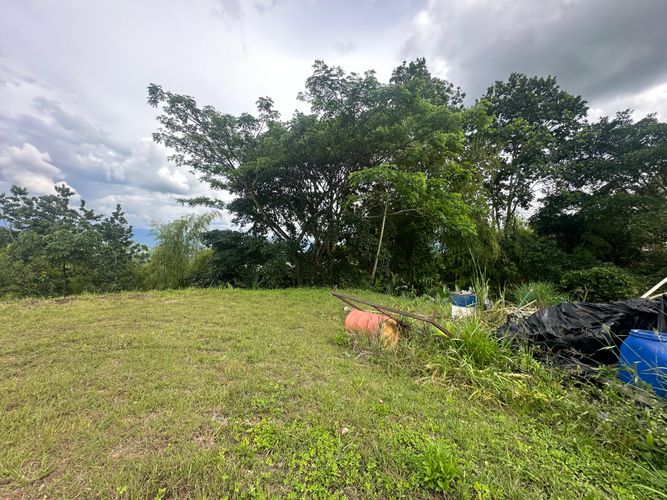 Lote en venta en Vereda Alambrado, Armenia · foto 10 de 24