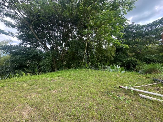 Lote en venta en Vereda Alambrado, Armenia · foto 12 de 24