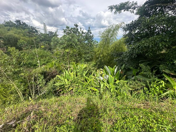 Lote en venta en Vereda Alambrado, Armenia · foto 13 de 24
