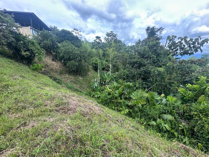 Lote en venta en Vereda Alambrado, Armenia · foto 21 de 24