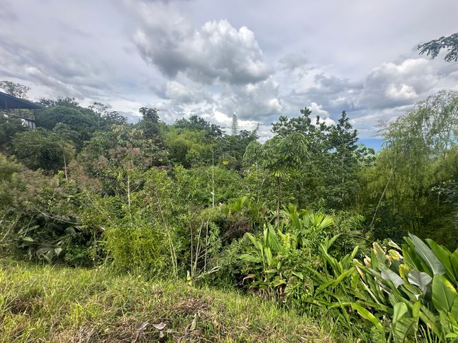 Lote en venta en Vereda Alambrado, Armenia · foto 15 de 24