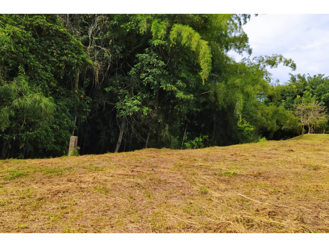 Lote en venta en Via El Eden, Armenia, 10 m² · foto 7 de 13