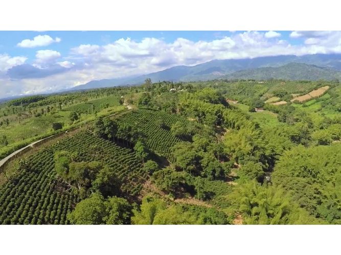 Lote en venta en Vía El Caimo, Armenia, 60000 m² · foto 2 de 10