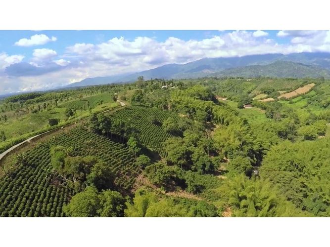Lote en venta en Vía El Caimo, Armenia, 60000 m² · foto 4 de 10