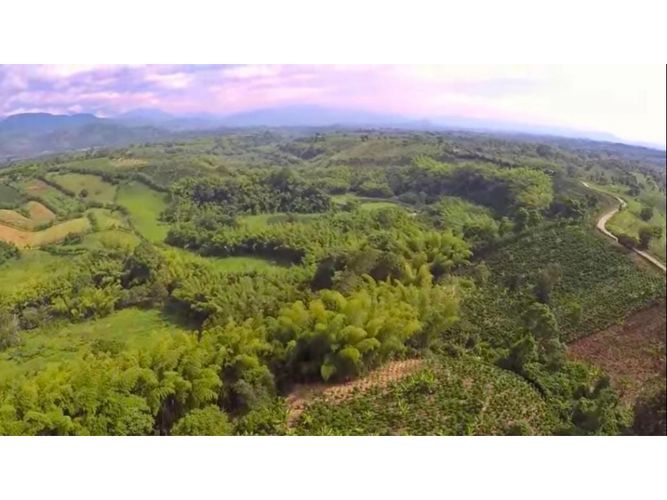 Lote en venta en Vía El Caimo, Armenia, 60000 m² · foto 5 de 10