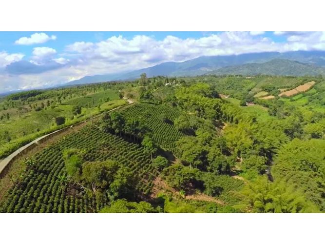 Lote en venta en Vía El Caimo, Armenia, 60000 m² · foto 6 de 10