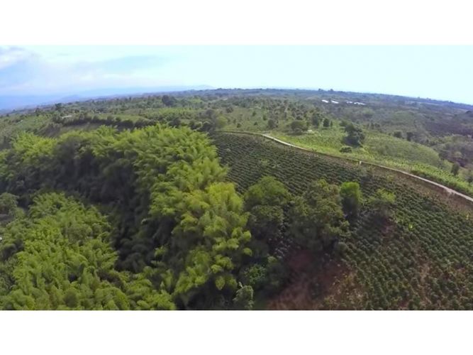 Lote en venta en Vía El Caimo, Armenia, 60000 m² · foto 8 de 10