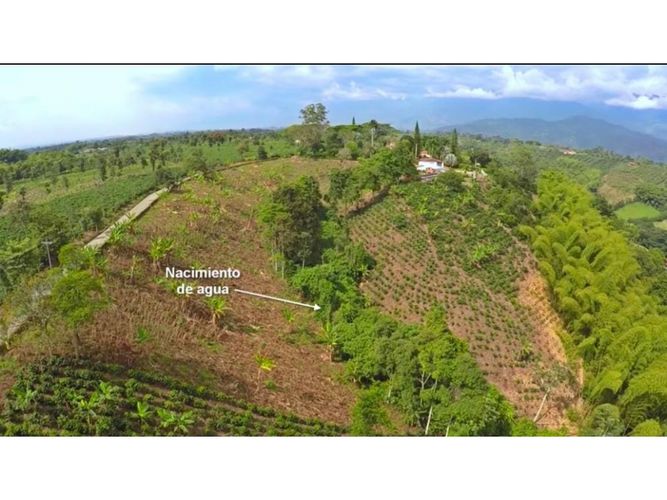 Lote en venta en Vía El Caimo, Armenia, 60000 m² · foto 9 de 10