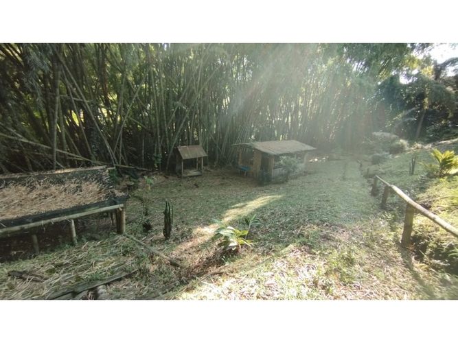 Lote en venta en El Caimo, Armenia, 1800 m² · foto 7 de 14