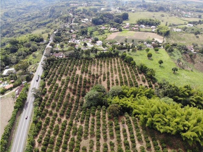 Finca en venta en La Popa, Armenia, 300 m² · foto 3 de 9