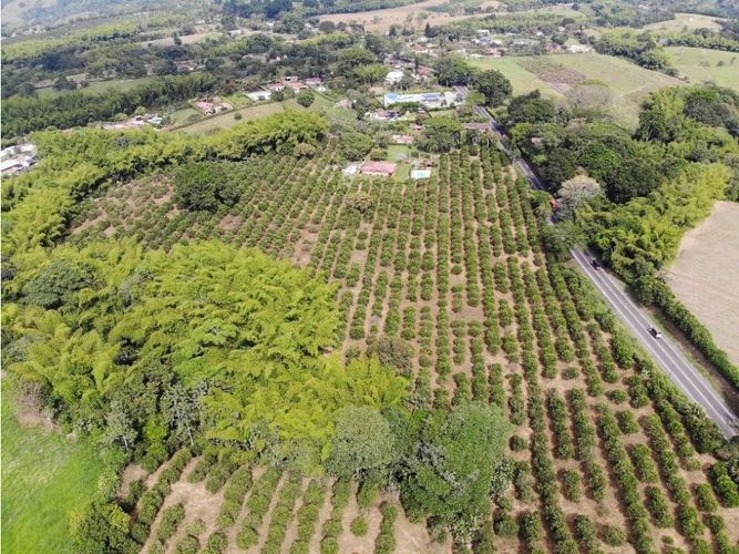 Finca en venta en La Popa, Armenia, 300 m² · foto 4 de 9