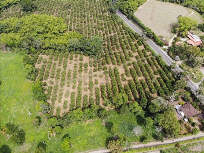Finca en venta en La Popa, Armenia, 300 m² · foto 6 de 9