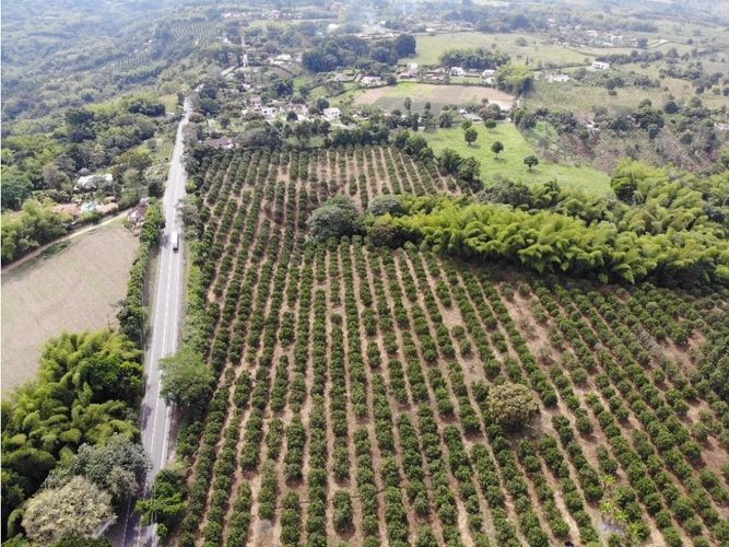 Finca en venta en La Popa, Armenia, 300 m² · foto 7 de 9