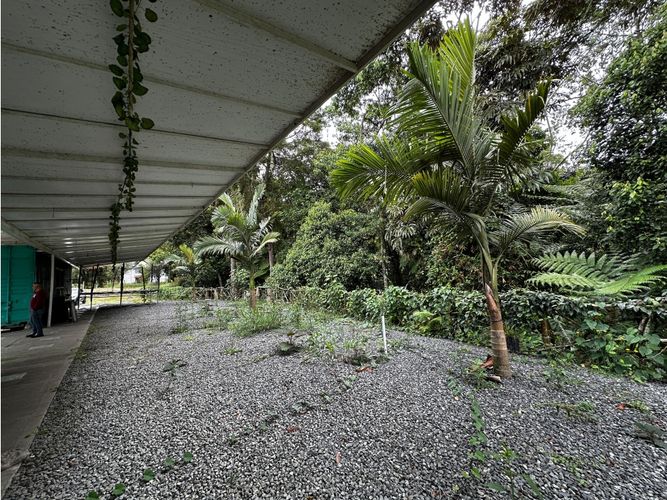 Local en arriendo en San Antonio, Armenia, 76 m² · foto 11 de 15