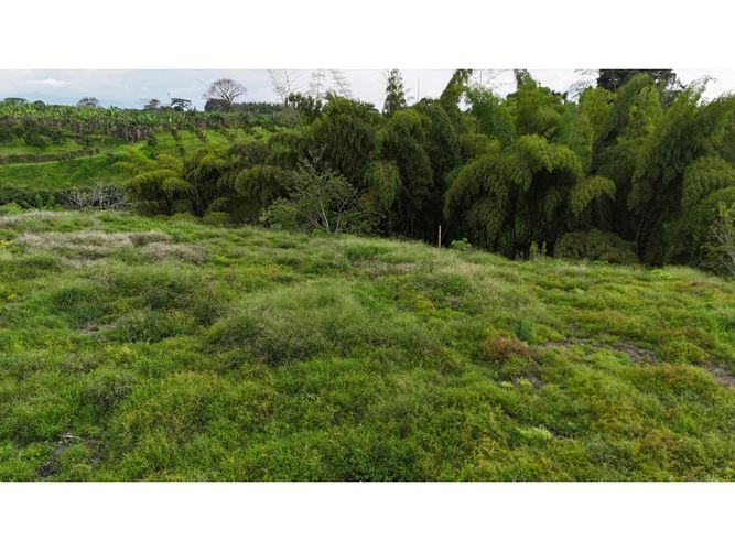 Lote en venta en La Esperanza, Armenia, 2735 m² · foto 3 de 5