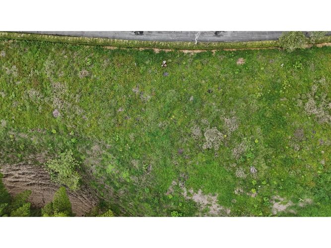 Lote en venta en La Esperanza, Armenia, 2735 m² · foto 4 de 5