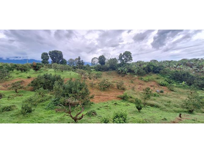 Finca en venta en Vía El Caimo, Armenia, 2300 m² · foto 24 de 24