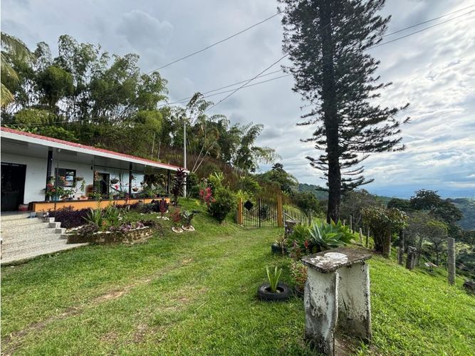 Finca en venta en Guayaquil Bajo, Armenia, 240 m² · foto 2 de 17