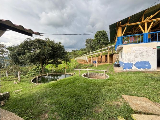 Finca en venta en Guayaquil Bajo, Armenia, 240 m² · foto 3 de 17