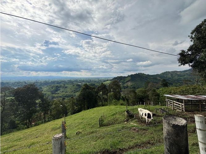 Finca en venta en Guayaquil Bajo, Armenia, 240 m² · foto 11 de 17