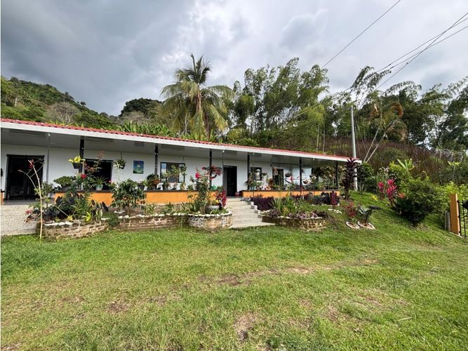 Finca en venta en Guayaquil Bajo, Armenia, 240 m² · foto 15 de 17