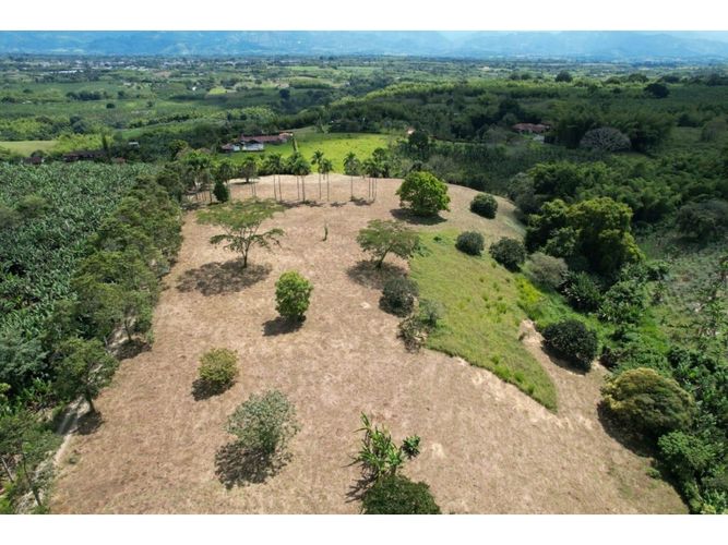 Lote en venta en Pueblo Tapao, Armenia, 39000 m² · foto 2 de 8