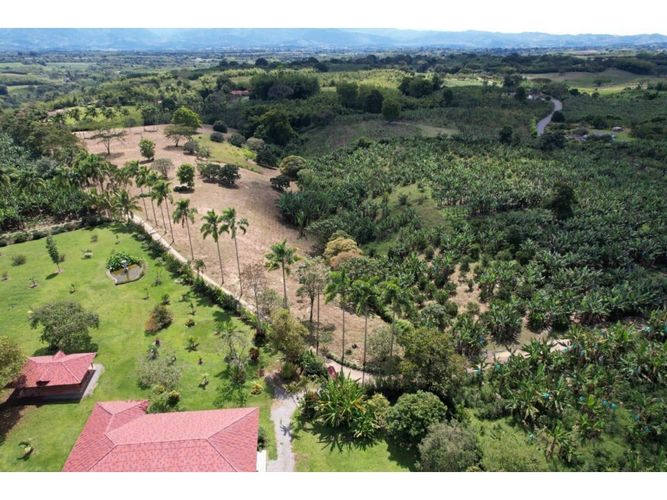 Lote en venta en Pueblo Tapao, Armenia, 39000 m² · foto 3 de 8