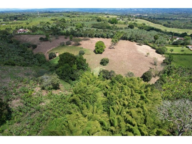 Lote en venta en Pueblo Tapao, Armenia, 39000 m² · foto 4 de 8