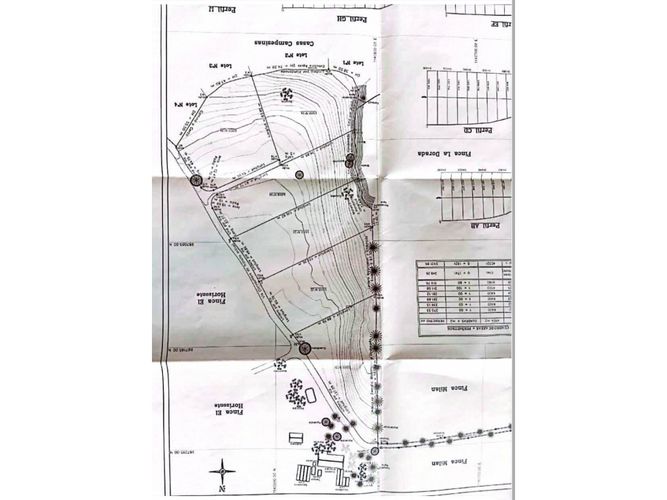 Lote en venta en Pueblo Tapao, Armenia, 39000 m² · foto 7 de 8