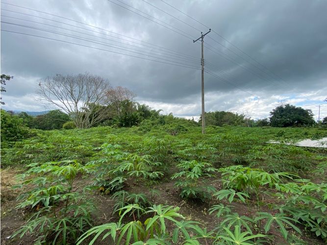 Lote en venta en El Caimo, Armenia, 14218 m² · foto 8 de 12