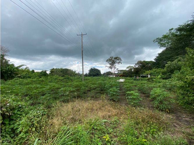 Lote en venta en El Caimo, Armenia, 14218 m² · foto 11 de 12