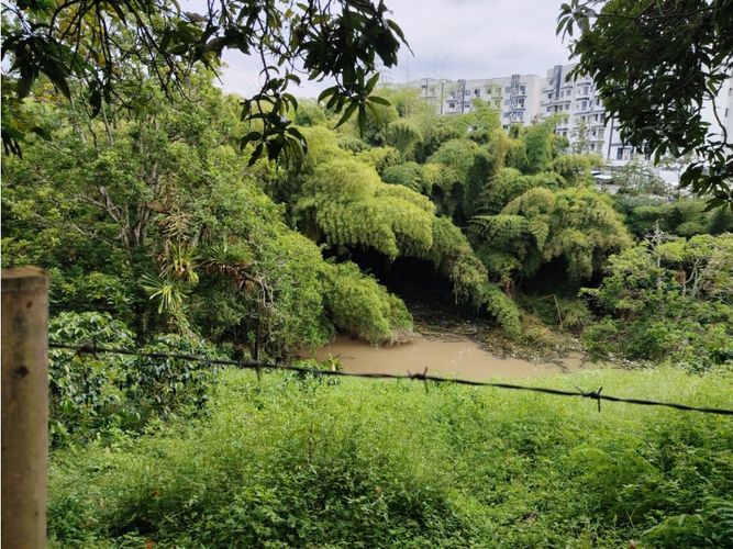 Lote en venta en Los Naranjos, Armenia, 50 m² · foto 8 de 12