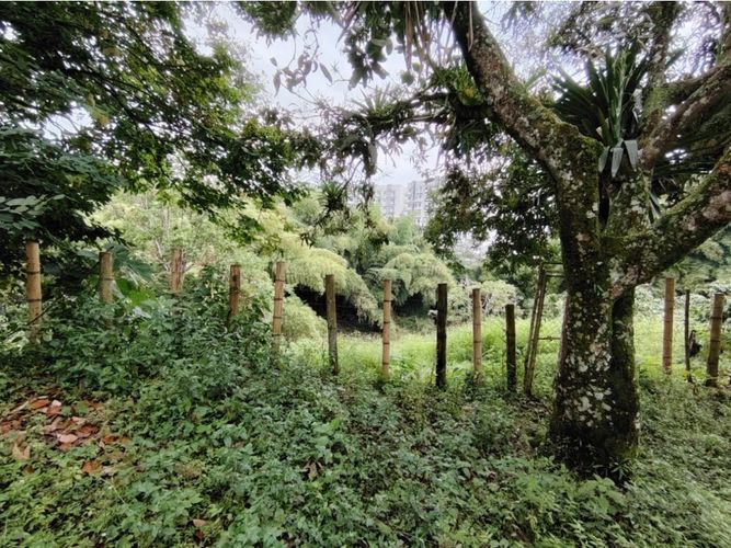 Lote en venta en Los Naranjos, Armenia, 50 m² · foto 10 de 12