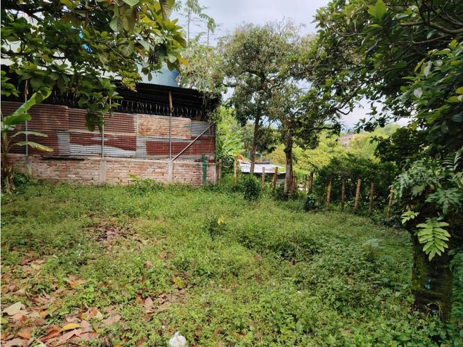 Lote en venta en Los Naranjos, Armenia, 50 m² · foto 12 de 12