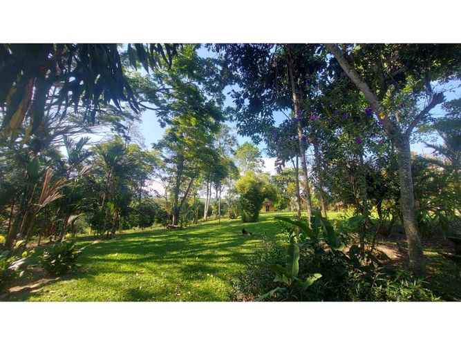 Finca en venta en La Popa, Armenia, 1250 m² · foto 7 de 24