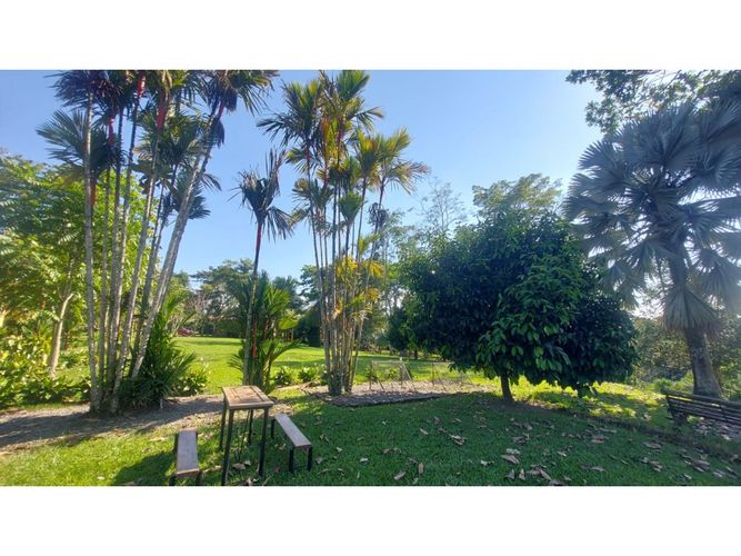 Finca en venta en La Popa, Armenia, 1250 m² · foto 23 de 24