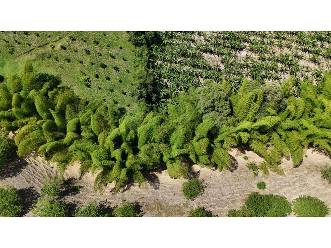 Lote en venta en La Esperanza, Armenia, 2735 m² · foto 6 de 7