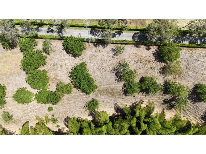Lote en venta en La Esperanza, Armenia, 2735 m² · foto 7 de 7