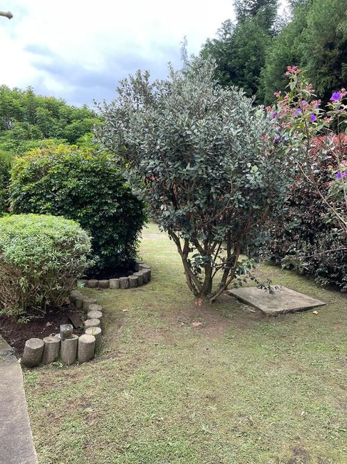 Casa de 3 alcobas en venta en Vereda La Balsa, Chía, 140 m² · foto 21 de 21
