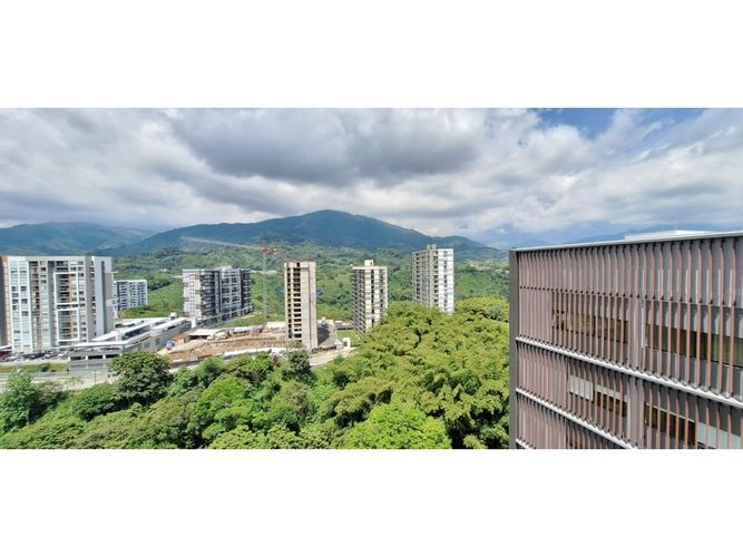 Consultorio en arriendo en Avenida Centenario, Armenia, 33 m² · foto 4 de 15