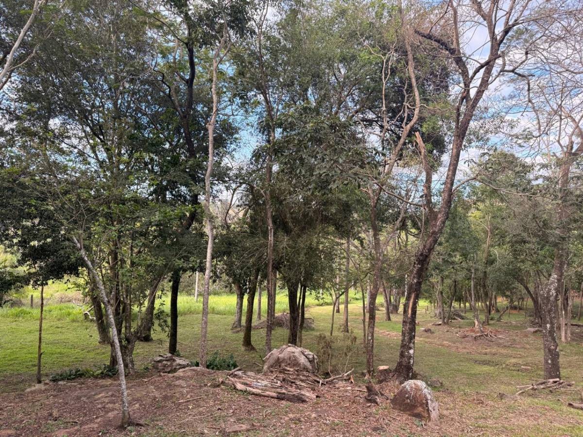 Exclusiva Propiedad Rural de 7.8 Hectáreas en Atyra, Cordillera - Núcleo Candia Lote 5 - Oportunidad Única US$ 200.000 — foto 3