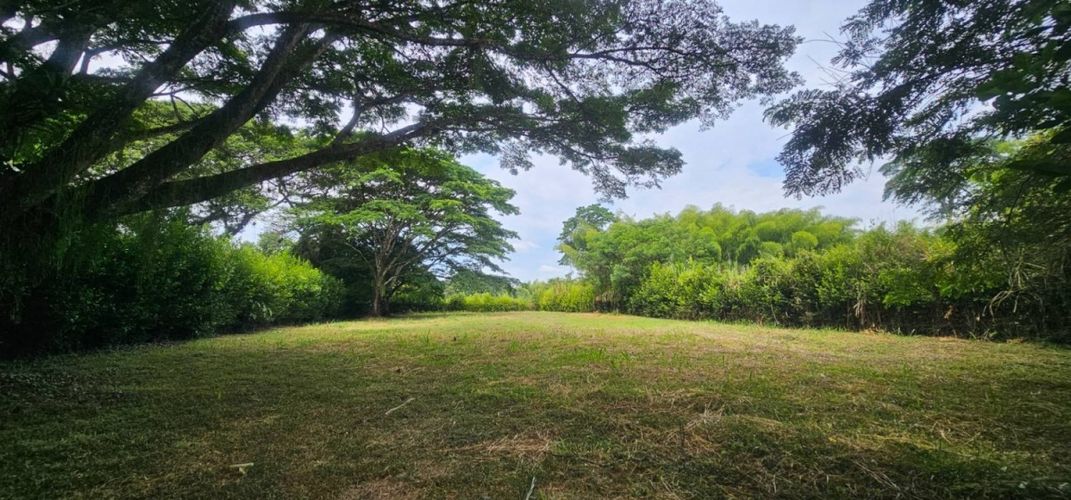 Lote en venta en Porerito, Jamundí, 2995 m² · foto 3 de 17