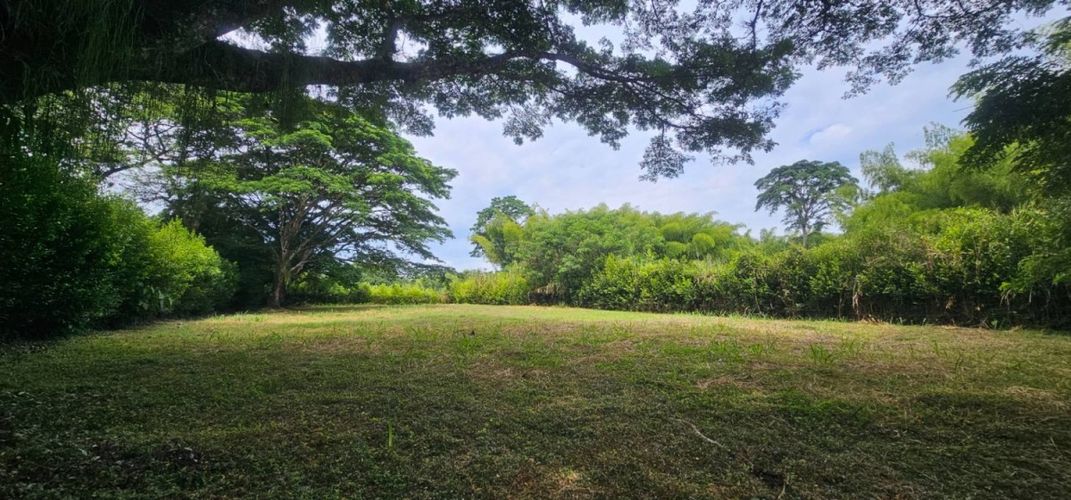 Lote en venta en Porerito, Jamundí, 2995 m² · foto 4 de 17