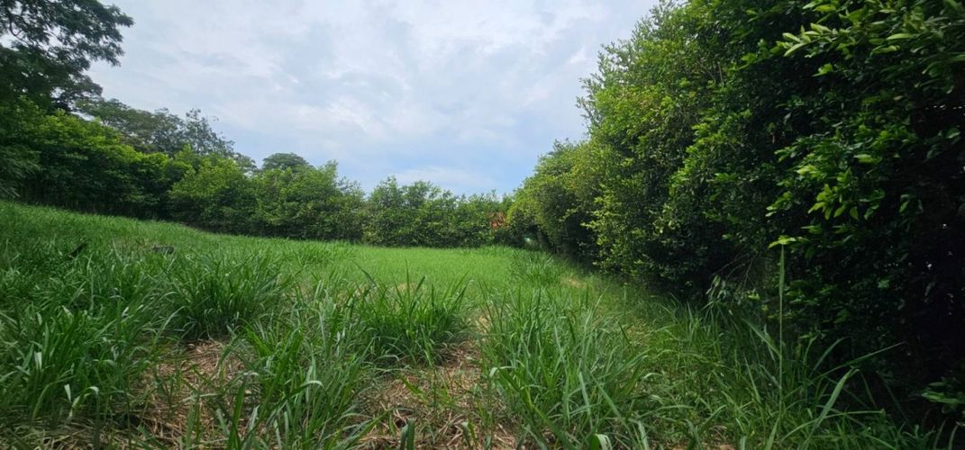 Lote en venta en Porerito, Jamundí, 2995 m² · foto 5 de 17