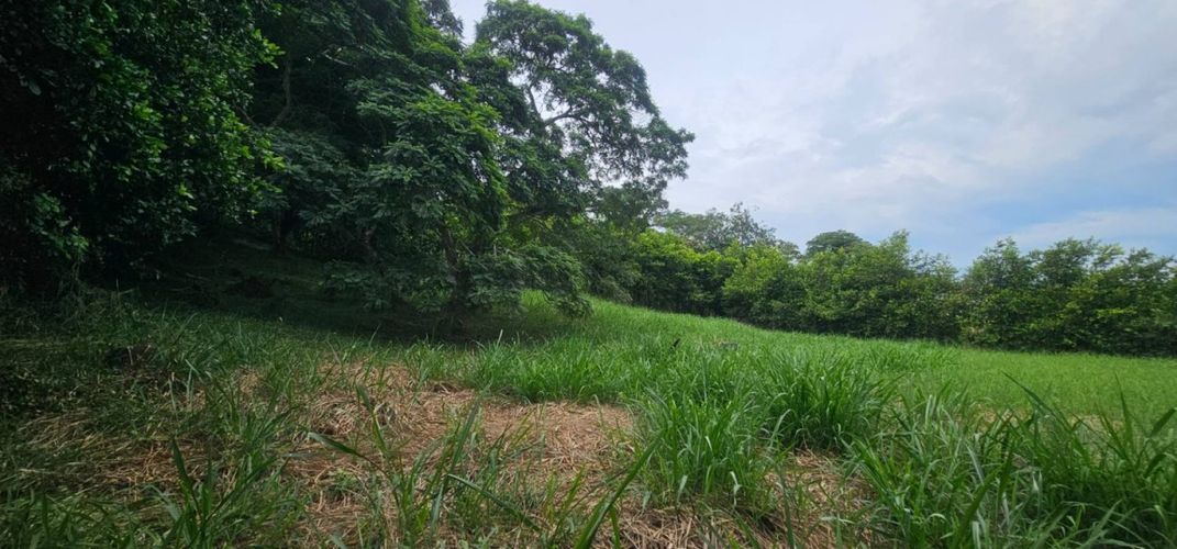 Lote en venta en Porerito, Jamundí, 2995 m² · foto 6 de 17