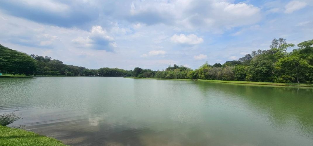 Lote en venta en Porerito, Jamundí, 2995 m² · foto 11 de 17