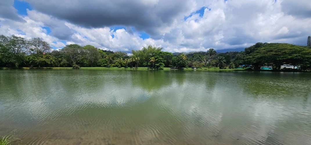 Lote en venta en Porerito, Jamundí, 2995 m² · foto 13 de 17