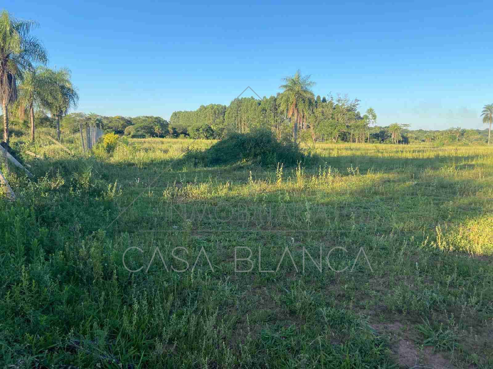 Venta! Terreno en Coronel Oviedo, A metros de la Av. Rodriguez de Francia — foto 3